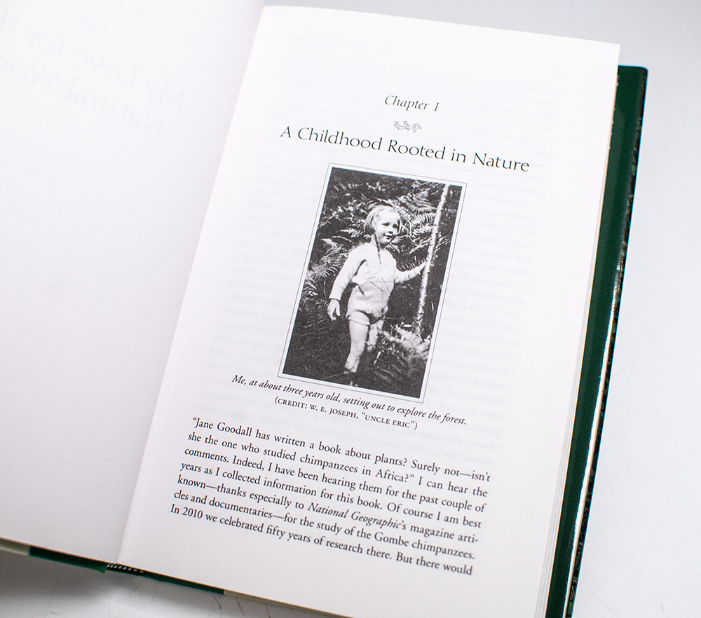 Seeds of Hope: Wisdom and Wonder from the World of Plants.