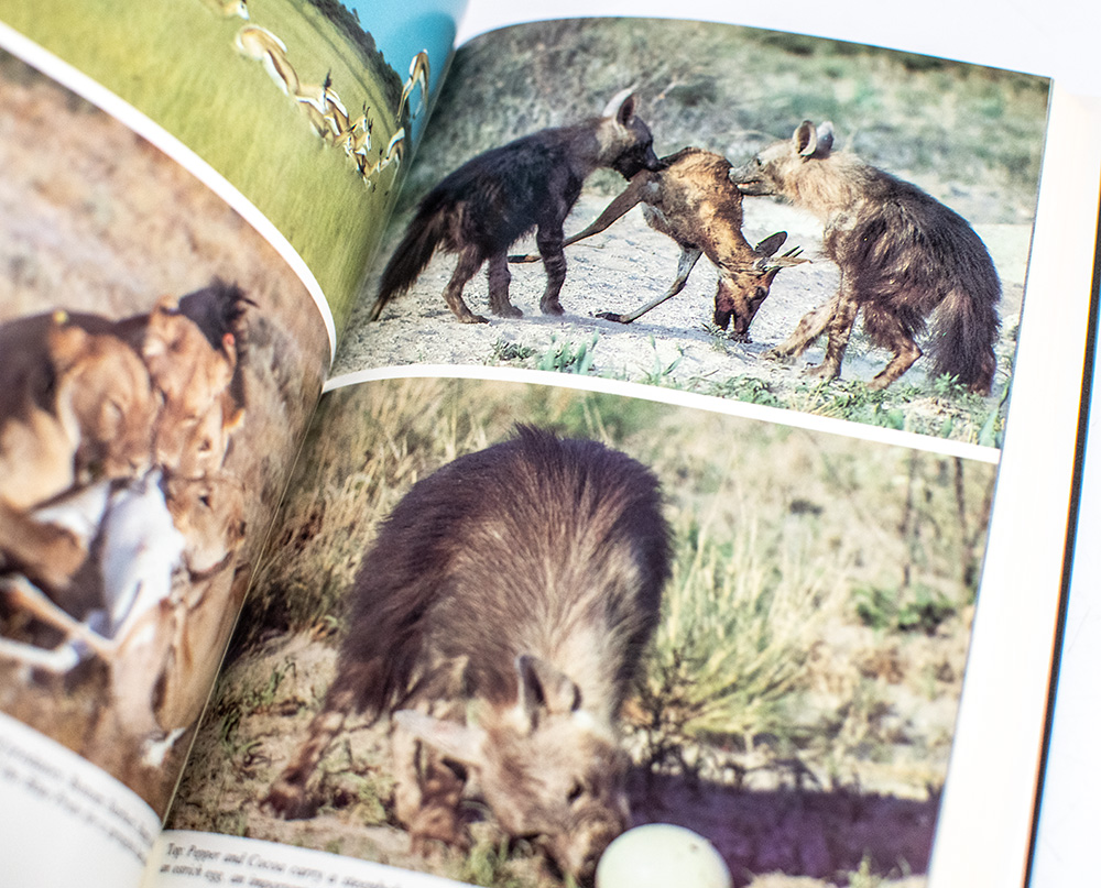 Cry of the Kalahari: Seven Years in Africa's Last Great Wilderness.