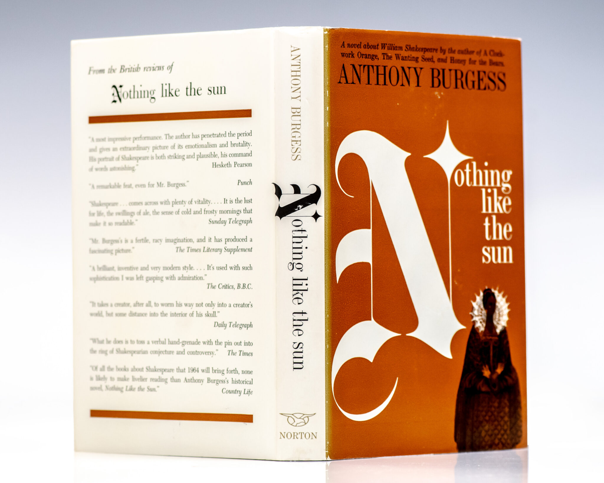 Nothing Like the Sun: A Story of Shakespeare's Love-life.