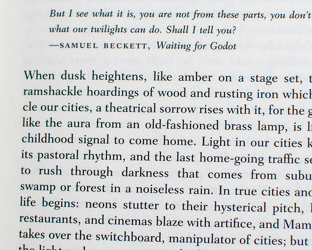 What the Twilight Says: Essays.