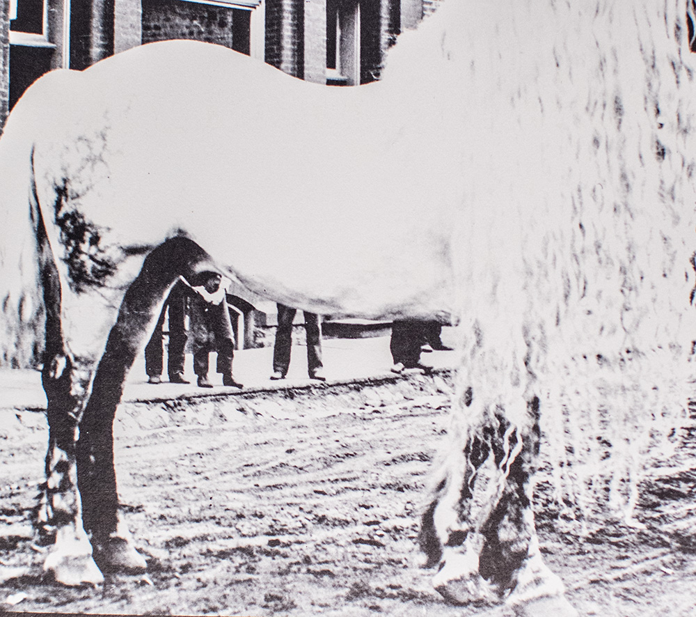 Wisconsin Death Trip.