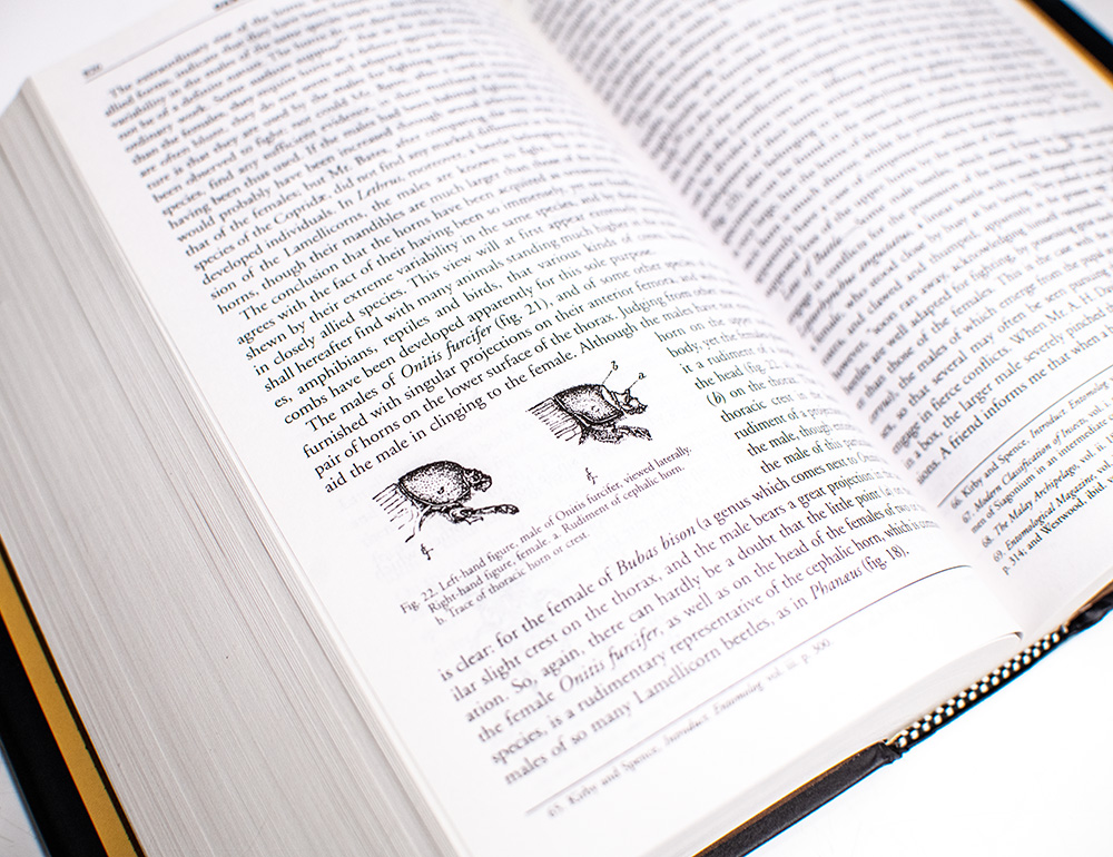 Darwin: The Indelible Stamp.