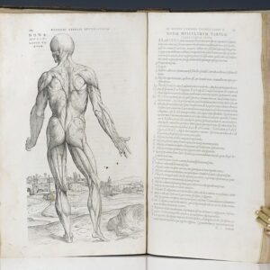 Woodcut anatomical illustration of Andreas Vesalius' De humani corporis fabrica (On the Fabric of the Human Body)