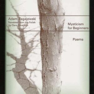 Mysticism for Beginners