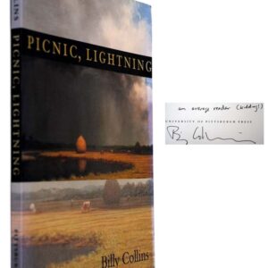 Picnic, Lightning