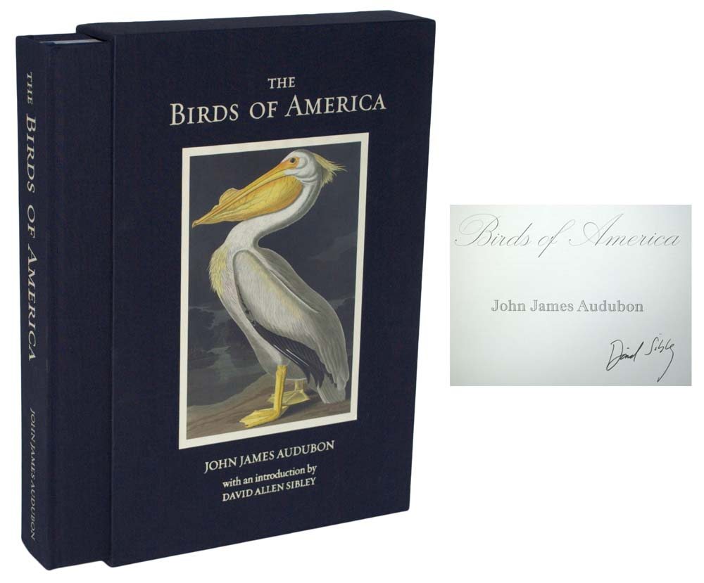 The Birds Of America.