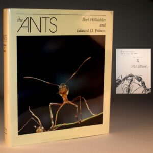 The Ants