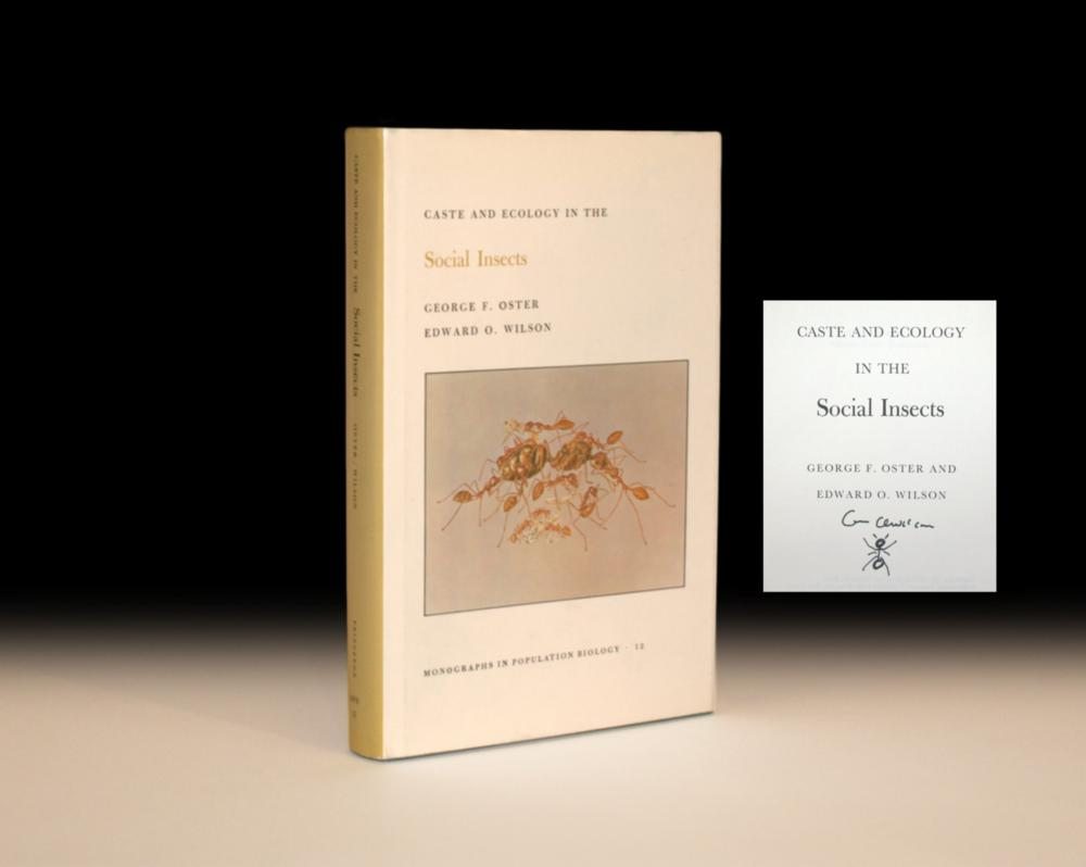 Caste and Ecology in the Social Insects