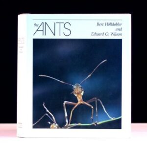 The Ants