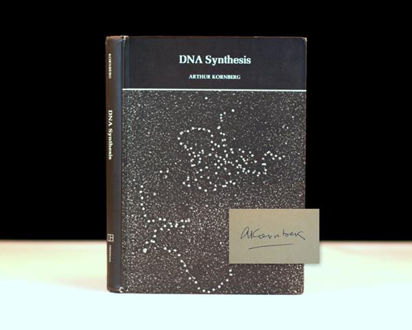 DNA Synthesis.