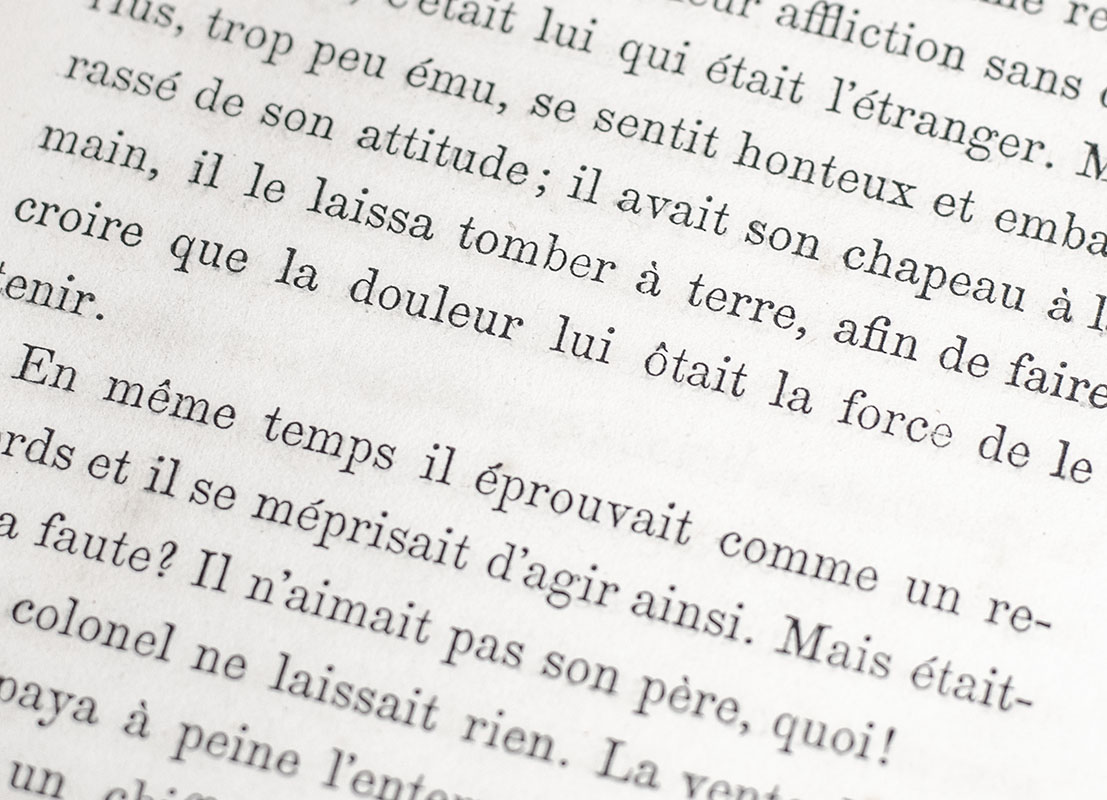 Les Miserables. - Image 4