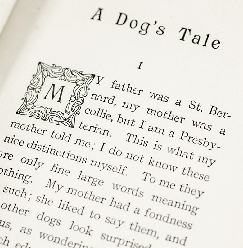 A Dog's Tale.