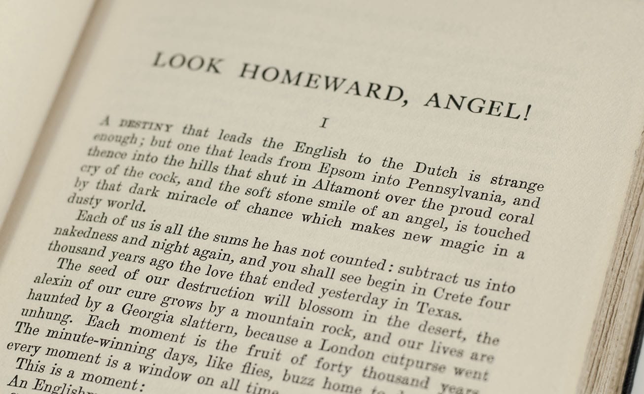 Look Homeward, Angel. - Image 2