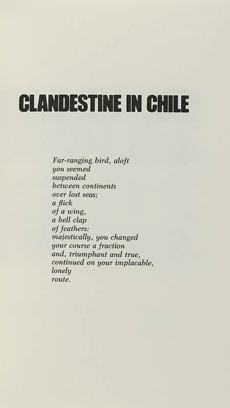 Clandestine in Chile: The Adventures of Miguel Littin. - Image 2