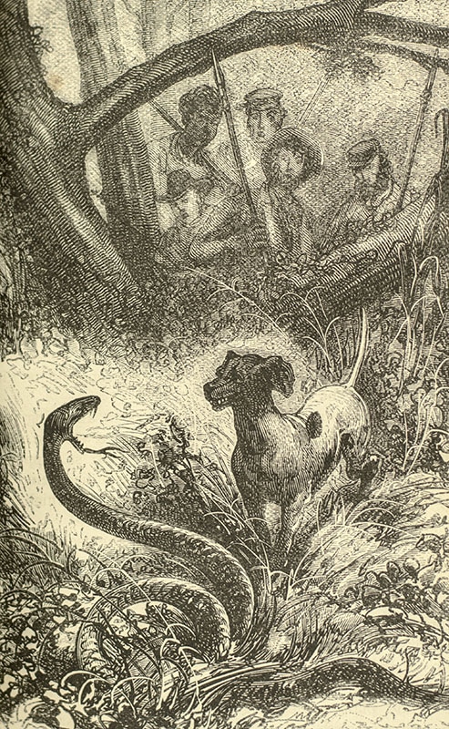 The Works of Jules Verne