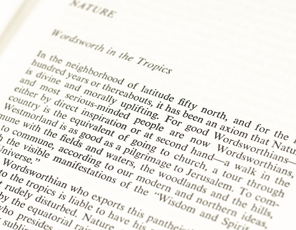 Collected Essays. - Image 4