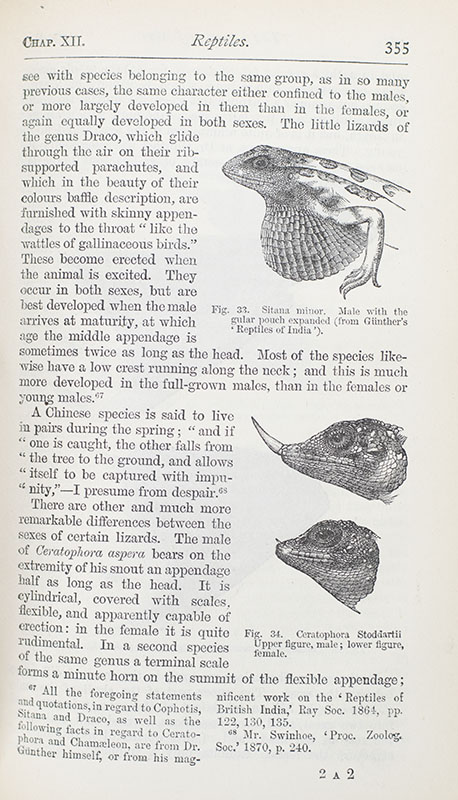 The Works of Charles Darwin. Including: The Origin of Species; The Descent of Man; Variation of Plants and Animals Under Domestication; Formation of Vegetable Mould; The Effects of Cross and Self Fertilisation in the Vegetable Kingdom; The Movement and Habits of Climbing Plants; The Various Contrivances by Which Orchids are Fertilised by Insects. Second Edition, Revised. A Naturalist's Voyage. Journal of Researches into the Natural History and Geology of Countries Visited During the Voyage of the H.M.S Beagle; The Different Forms of Flowers on Plants of the Same Species.