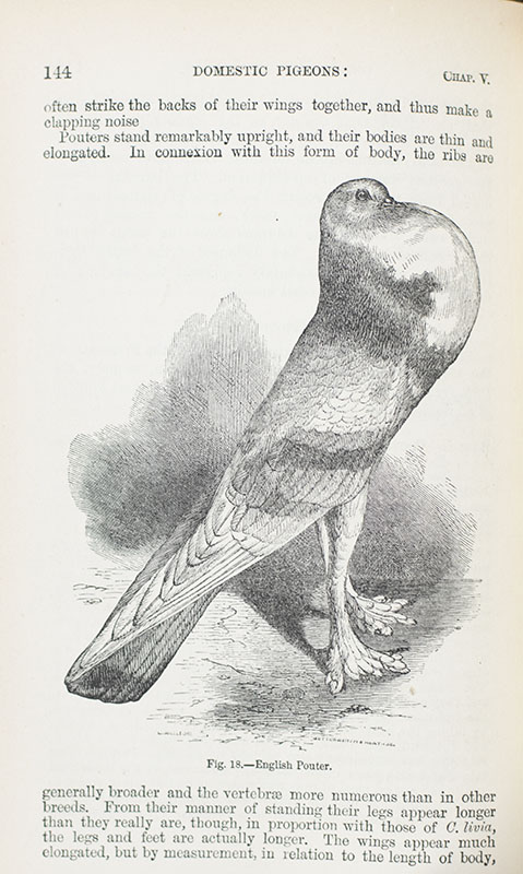 The Works of Charles Darwin. Including: The Origin of Species; The Descent of Man; Variation of Plants and Animals Under Domestication; Formation of Vegetable Mould; The Effects of Cross and Self Fertilisation in the Vegetable Kingdom; The Movement and Habits of Climbing Plants; The Various Contrivances by Which Orchids are Fertilised by Insects. Second Edition, Revised. A Naturalist's Voyage. Journal of Researches into the Natural History and Geology of Countries Visited During the Voyage of the H.M.S Beagle; The Different Forms of Flowers on Plants of the Same Species.