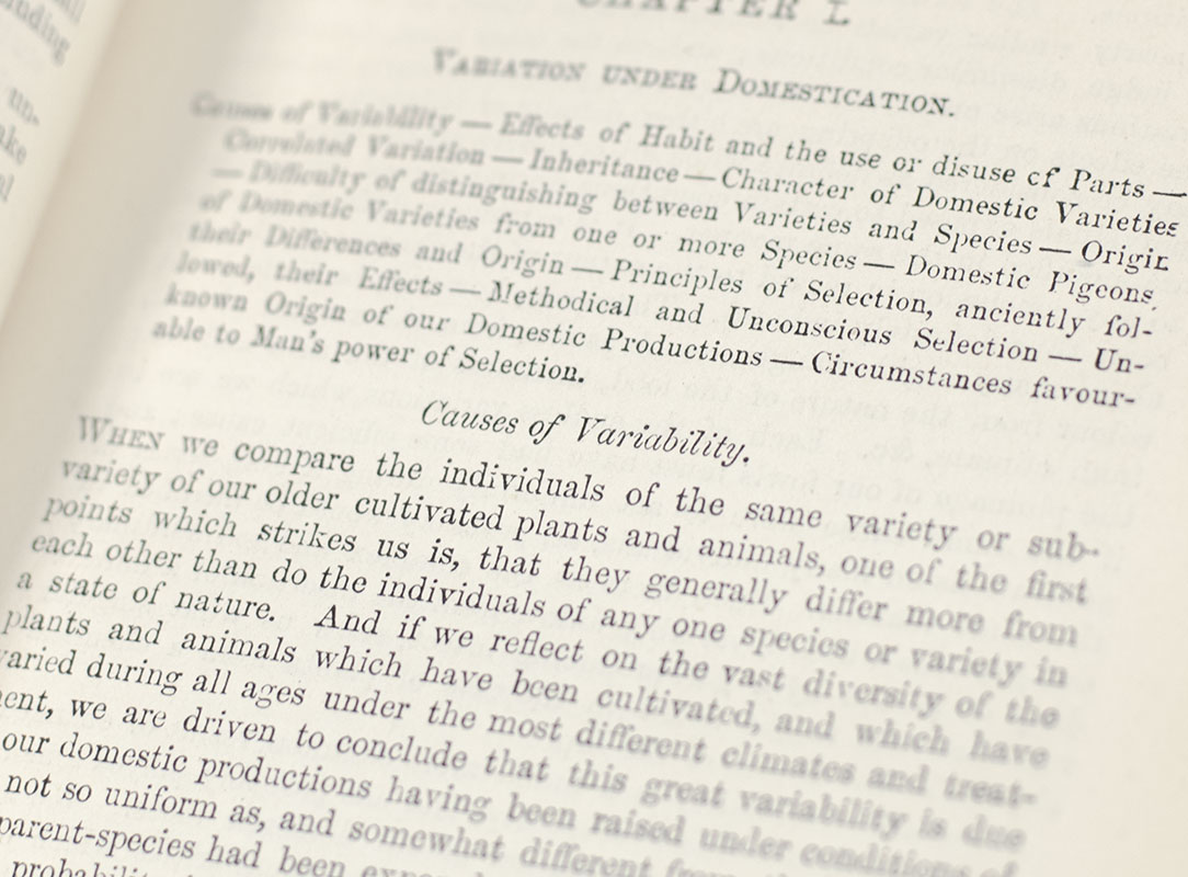 The Works of Charles Darwin. Including: The Origin of Species; The Descent of Man; Variation of Plants and Animals Under Domestication; Formation of Vegetable Mould; The Effects of Cross and Self Fertilisation in the Vegetable Kingdom; The Movement and Habits of Climbing Plants; The Various Contrivances by Which Orchids are Fertilised by Insects. Second Edition, Revised. A Naturalist's Voyage. Journal of Researches into the Natural History and Geology of Countries Visited During the Voyage of the H.M.S Beagle; The Different Forms of Flowers on Plants of the Same Species.