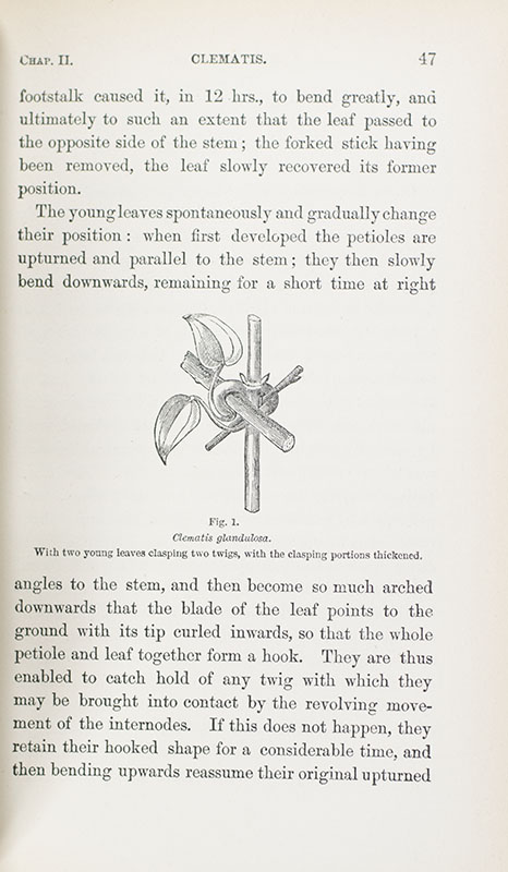 The Works of Charles Darwin. Including: The Origin of Species; The Descent of Man; Variation of Plants and Animals Under Domestication; Formation of Vegetable Mould; The Effects of Cross and Self Fertilisation in the Vegetable Kingdom; The Movement and Habits of Climbing Plants; The Various Contrivances by Which Orchids are Fertilised by Insects. Second Edition, Revised. A Naturalist's Voyage. Journal of Researches into the Natural History and Geology of Countries Visited During the Voyage of the H.M.S Beagle; The Different Forms of Flowers on Plants of the Same Species.