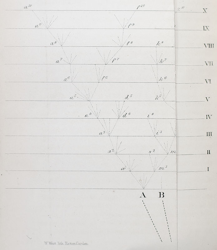 On the Origin of Species by Means of Natural Selection, or the Preservation of Favoured Races in the Struggle for Life.