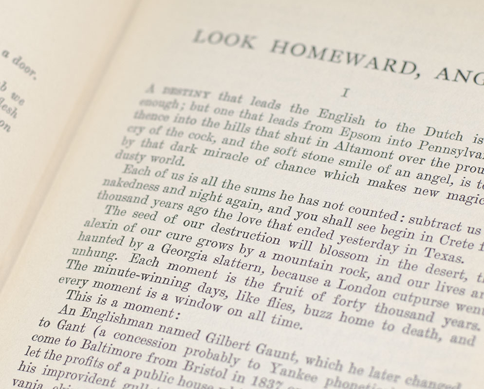 Look Homeward, Angel. - Image 3
