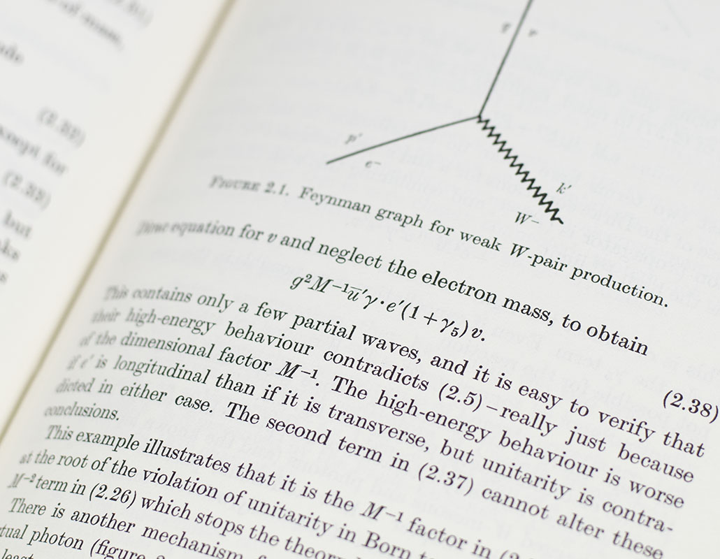 Gauge Theories of Weak Interactions.
