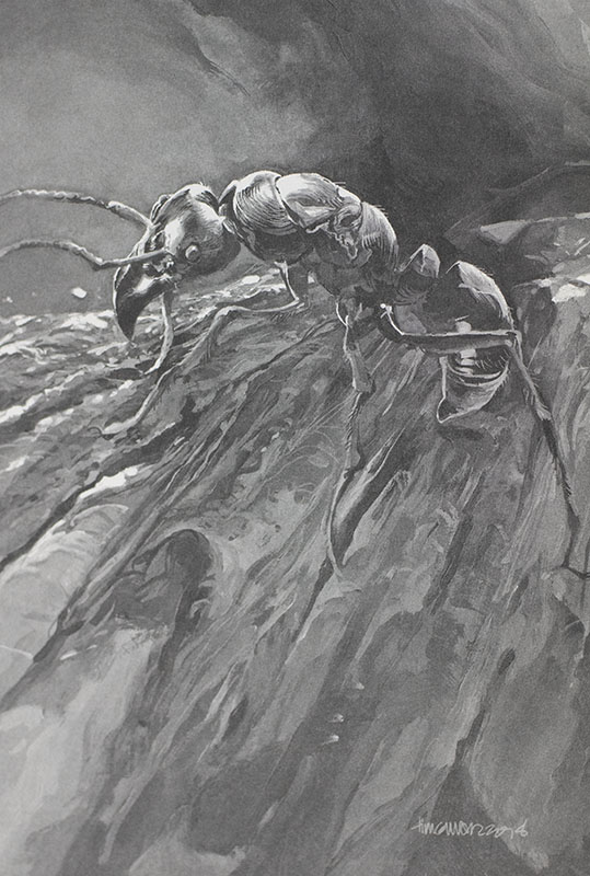 Tales from the Ant World.