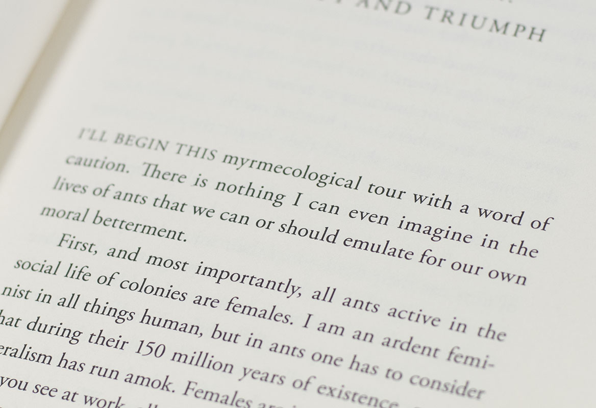Tales from the Ant World.