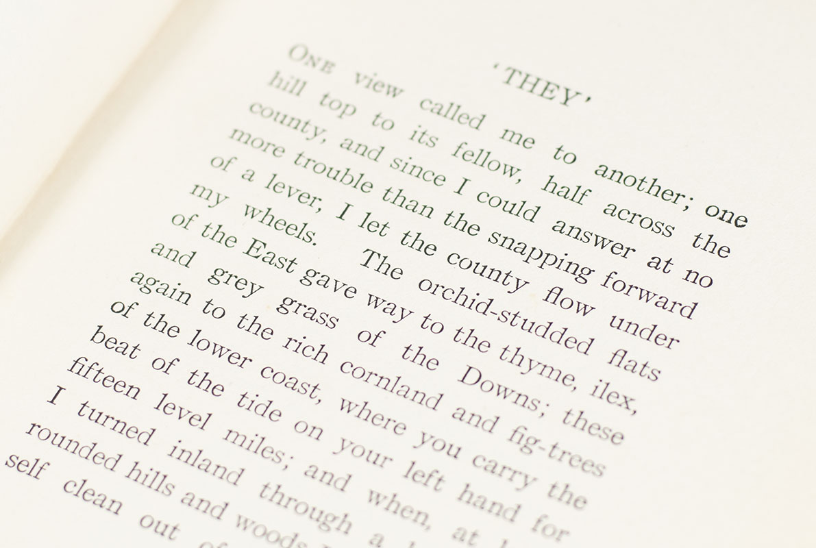 'They'. - Image 4