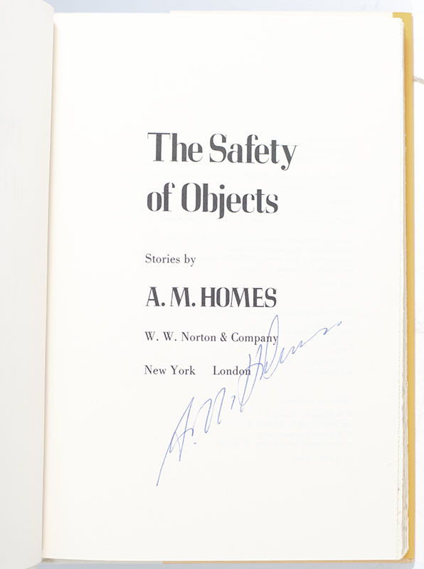 The Safety of Objects. - Image 2