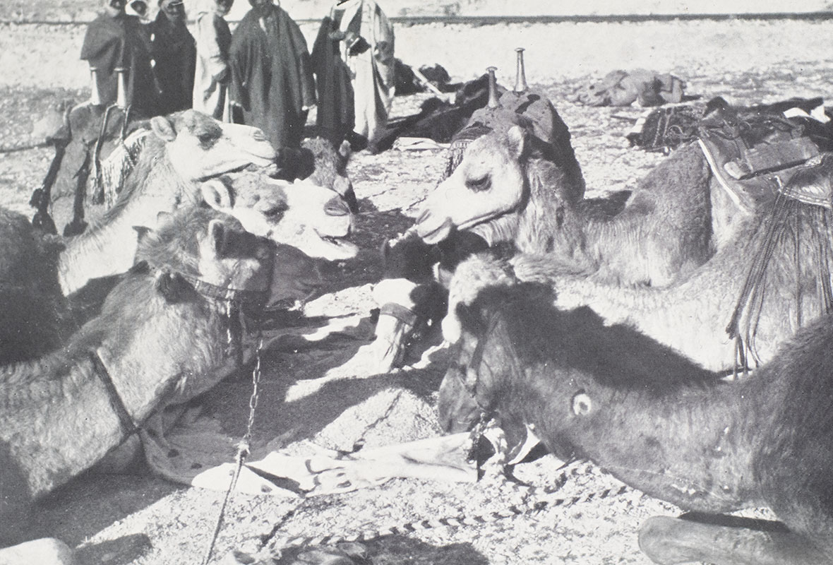 Oriental Assembly. - Image 2
