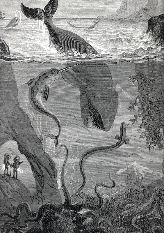 Twenty Thousand Leagues Under the Sea.