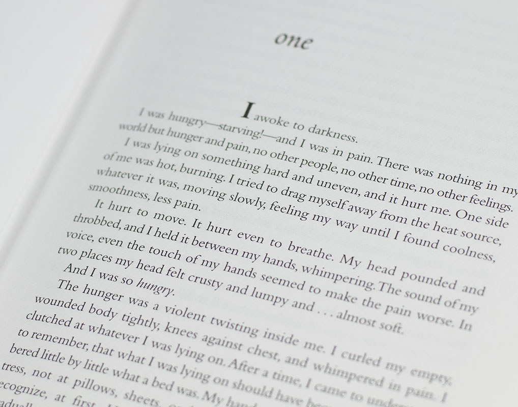 Fledgling: A Novel.
