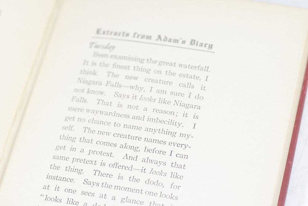 Extracts from Adam's Diary: Translated From the Original MS. - Image 3