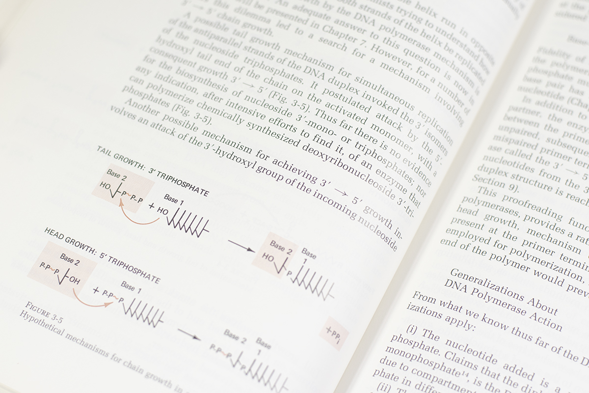 DNA Synthesis.