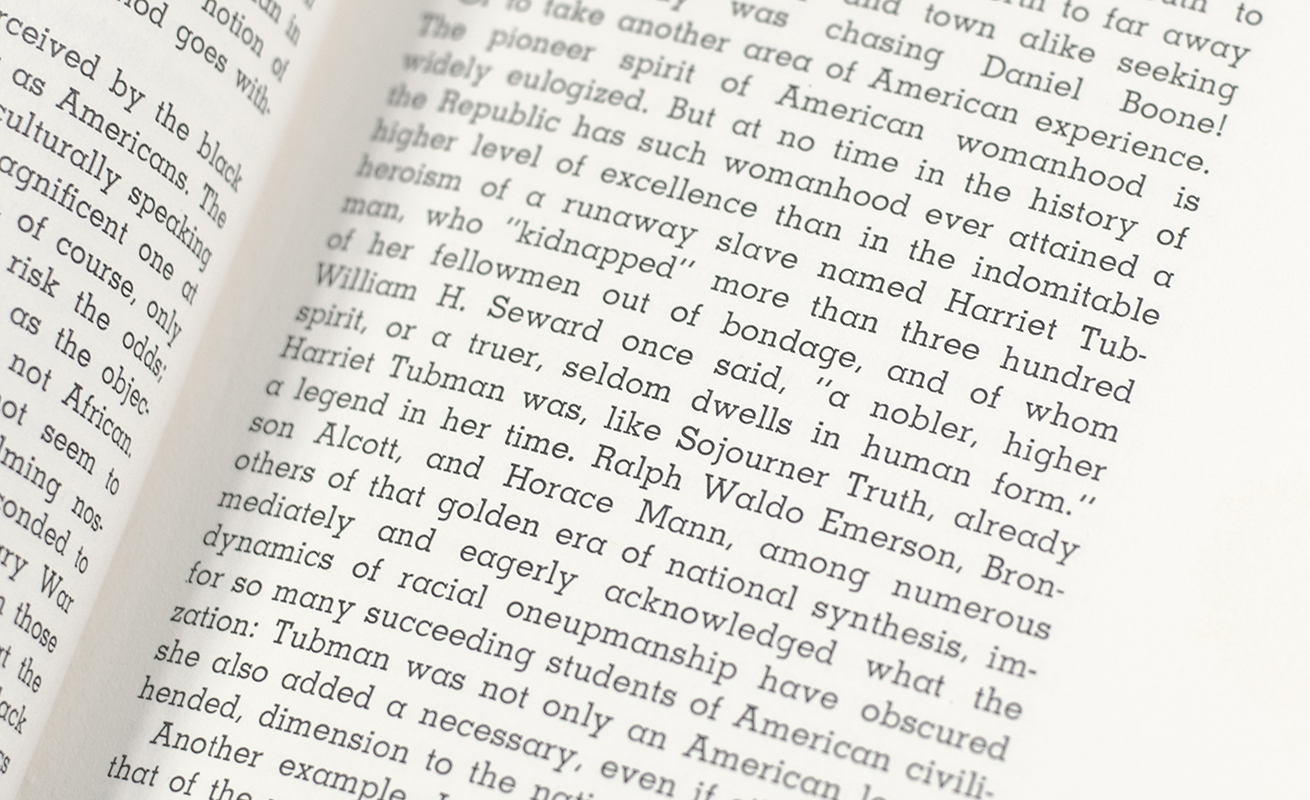 Omni-Americans: New Perspectives on Black Experience and American Culture.