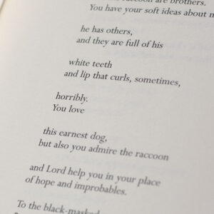 New and Selected Poems: Volume Two.