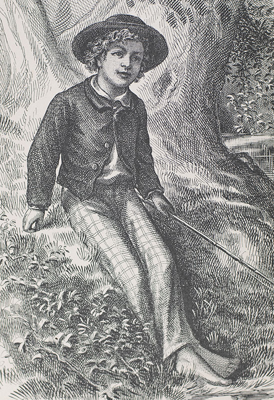 The Adventures of Tom Sawyer.