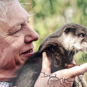 David Attenborough Signed Photograph.