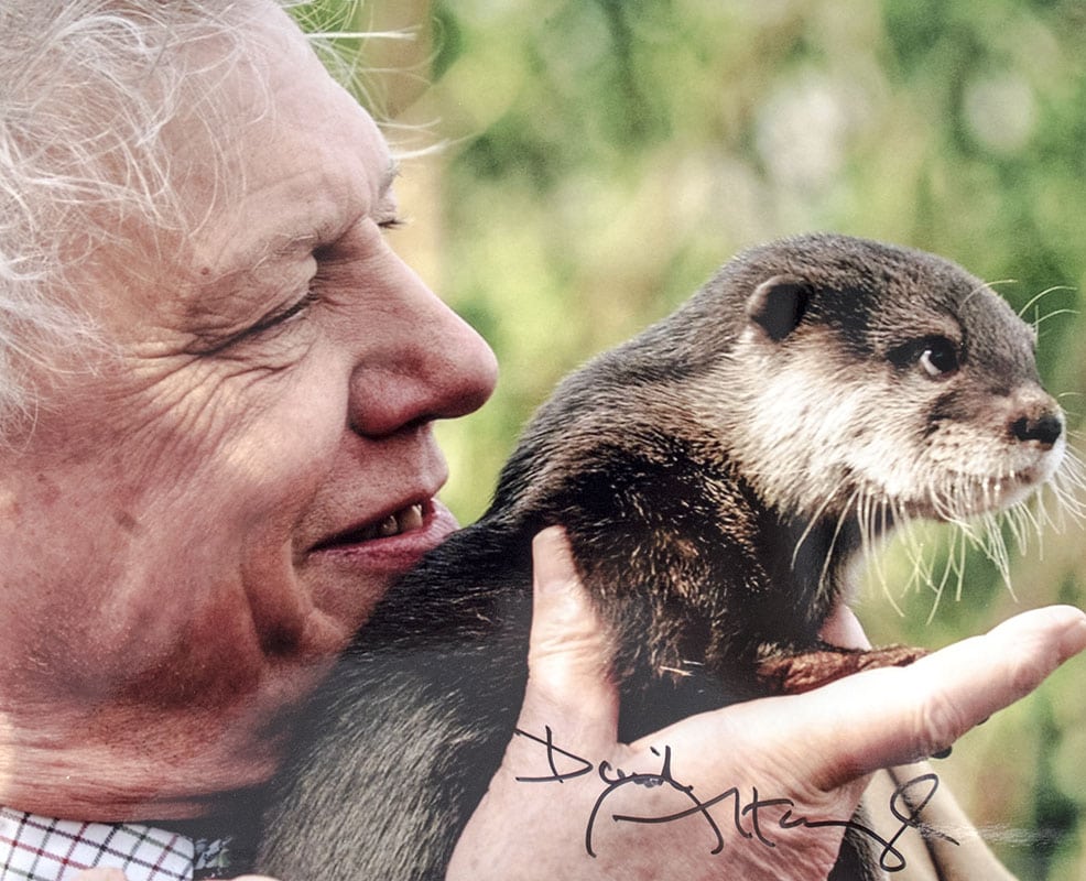 David Attenborough Signed Photograph.