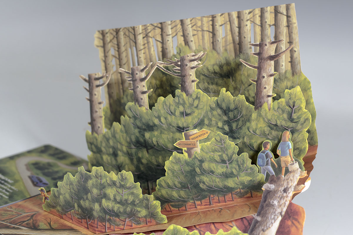The Girl Who Loved Tom Gordon: A Pop-Up Book