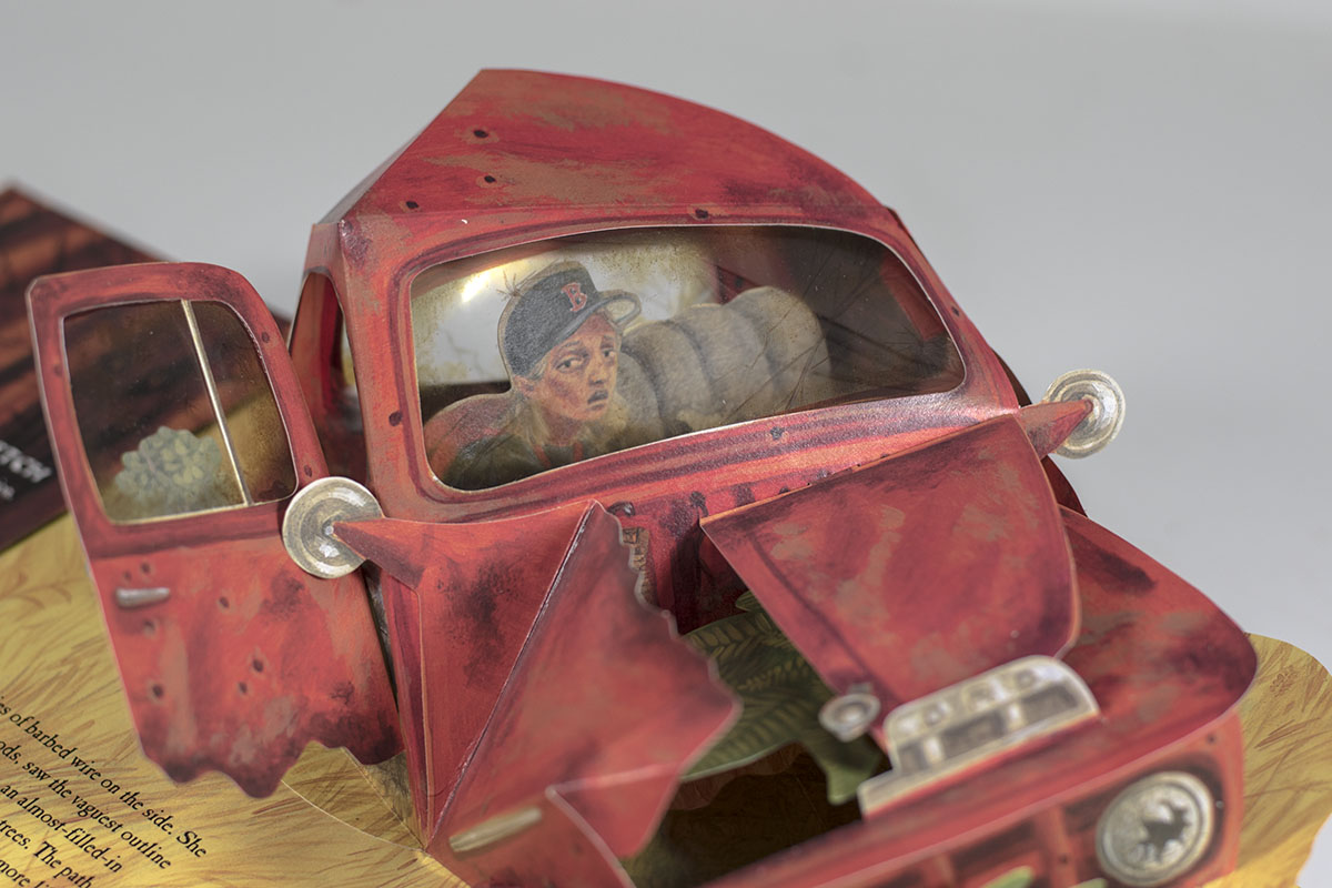 The Girl Who Loved Tom Gordon: A Pop-Up Book