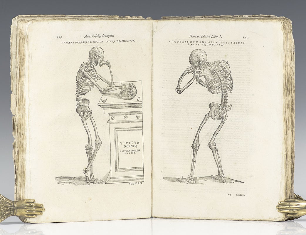 Anatomia: Addita nunc postremo etiam Antiquorum Anatome