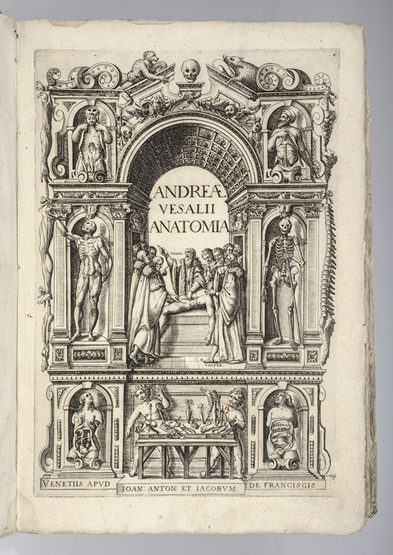 Anatomia: Addita nunc postremo etiam Antiquorum Anatome