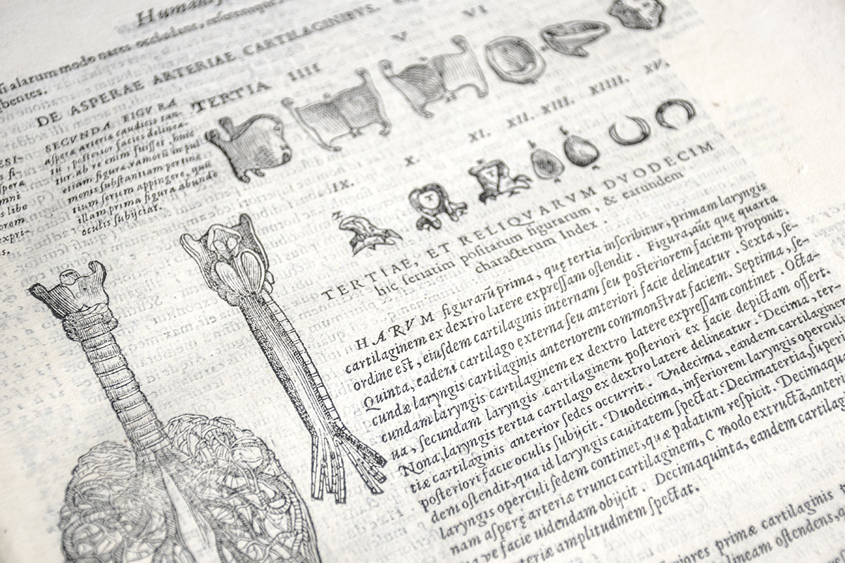 Anatomia: Addita nunc postremo etiam Antiquorum Anatome