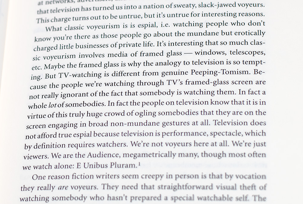 A Supposedly Fun Thing I'll Never Do Again: Essays and Arguments.