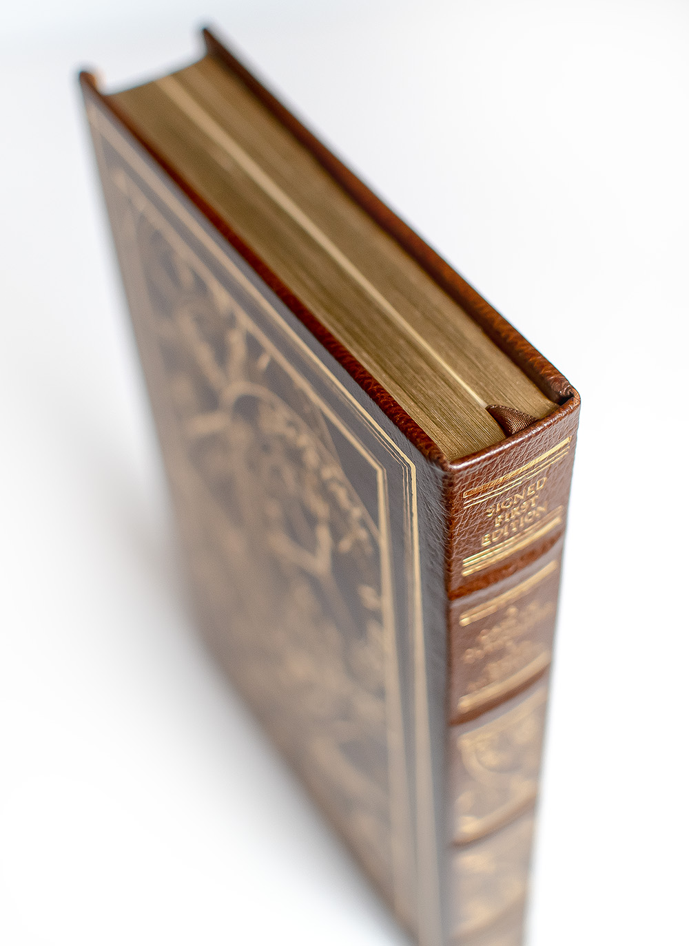 A Case of Curiosities.