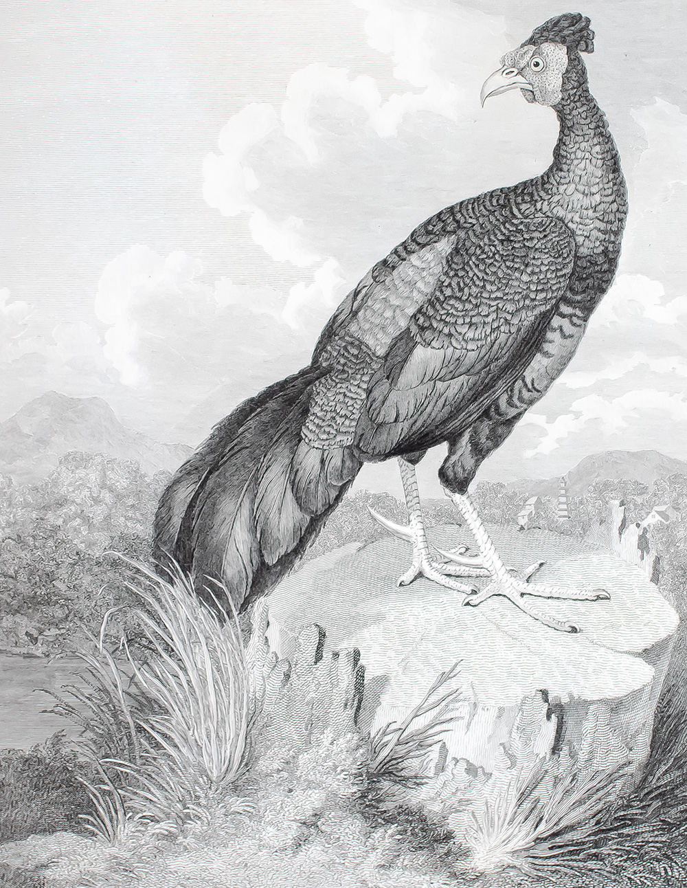 An Authentic Account of an Embassy from the King of Great Britain to the Emperor of China; Including Cursory Observations Made, and Information Obtained, In Travelling Through That Ancient Empire, and a Small Part of Chinese Tartary.
