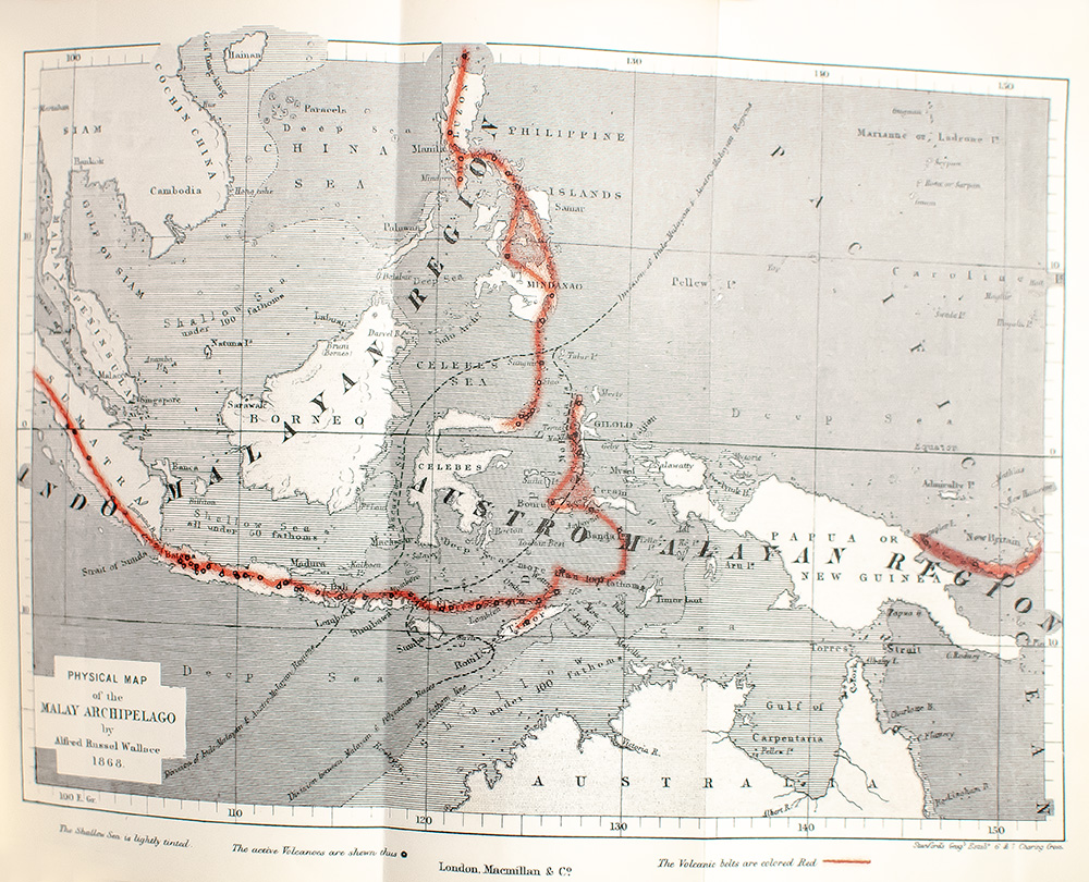 The Malay Archipelago: The Land of the Orang-utan, and the Bird of Paradise. A Narrative of Travel, with Studies of Man and Nature.